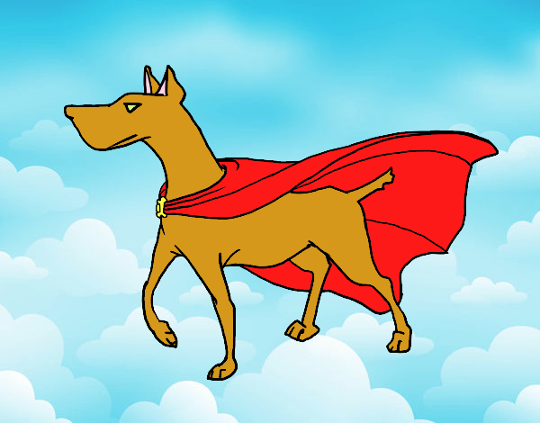 Cão super-herói