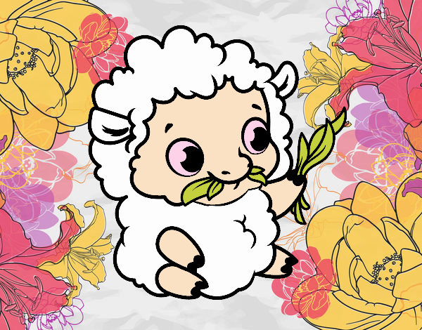 Bebê ovelha