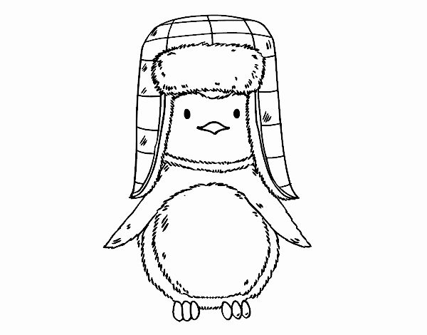 Pinguim com chapéu