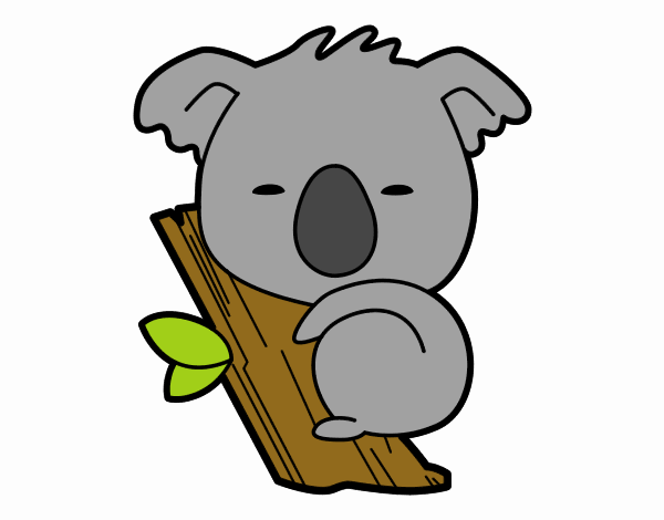 azeitona o coala bebe