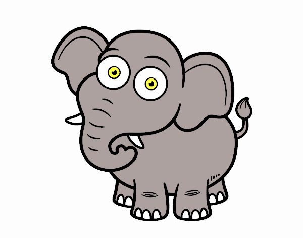 willy o elefante