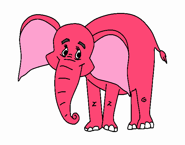 bob o elefante feliz