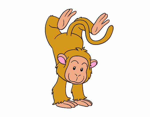 sandy o macaco equilibrista