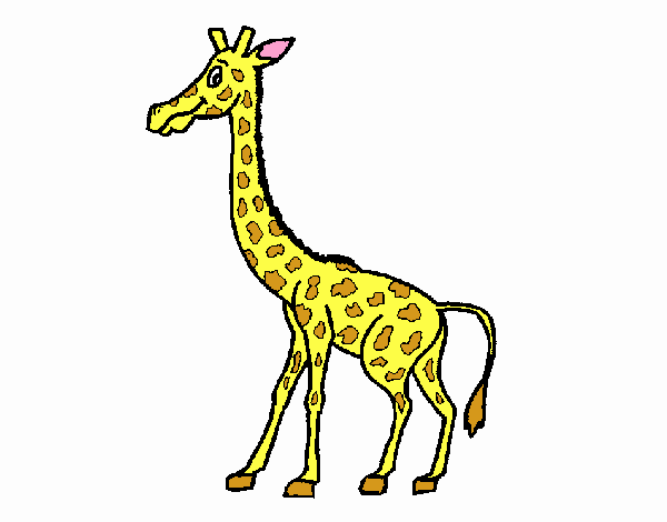 rick a girafa 1