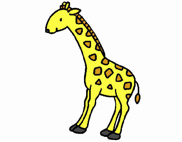 kiko a girafa 2