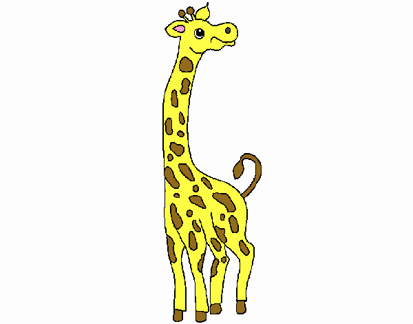 sophie a girafa