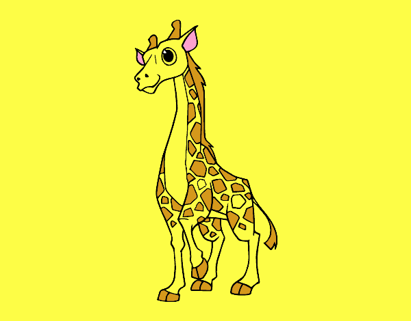 taruk a girafa fêmea