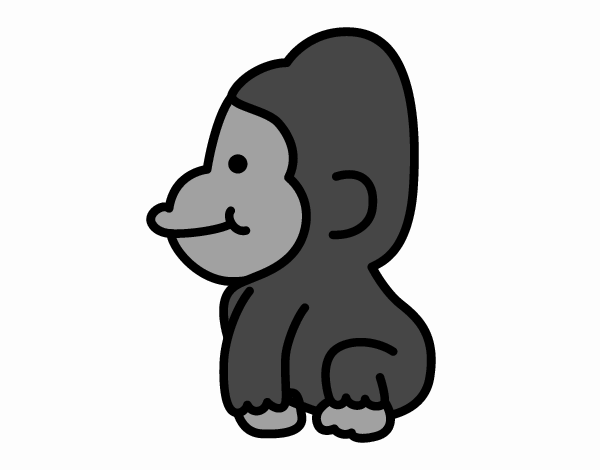biscuit o gorila bebe