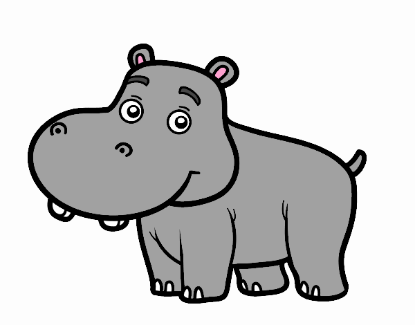 river o hipopótamo jovem