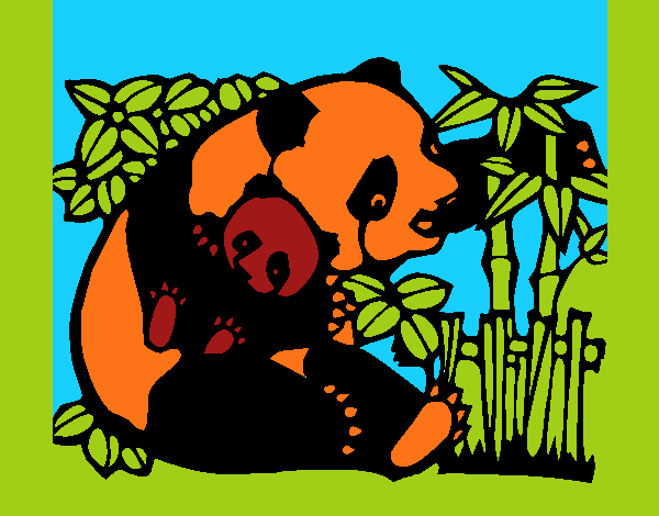 xarope e miudo os pandas