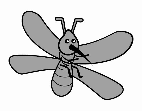 mel o mosquito com asas grandes