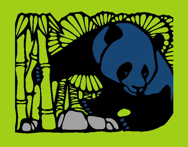 viva o urso panda e o bambu