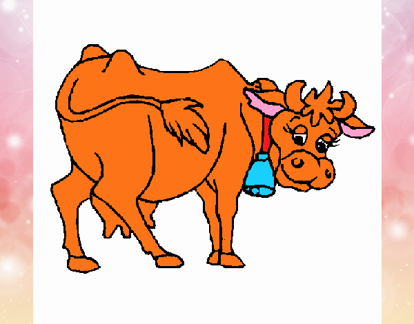 cora a vaca 2