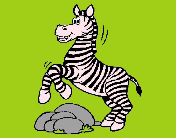 esguicho a zebra a saltar nas pedras