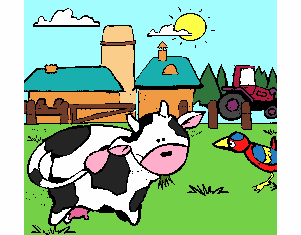 Vaca na quinta