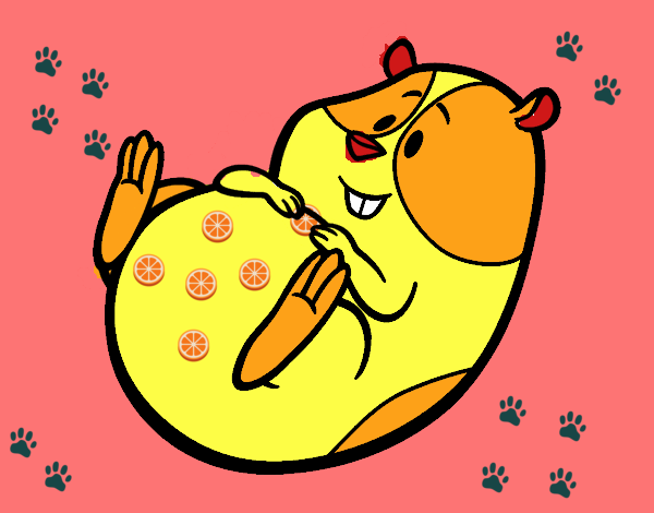 Desenho de Hamster simpático para Colorir - Colorir.com