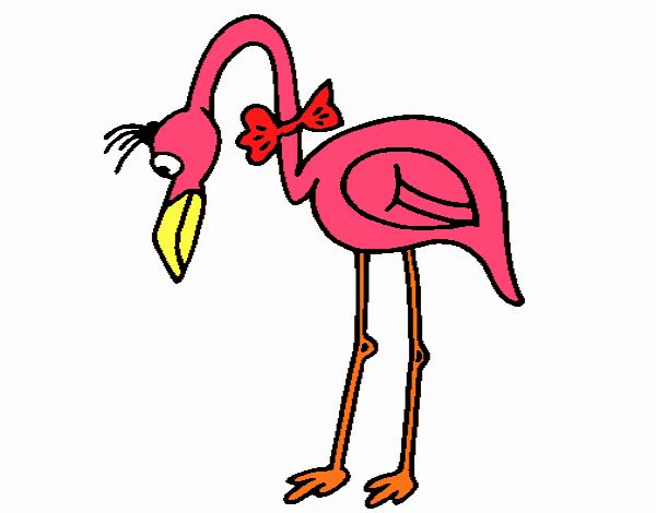 Flamingo com passarita