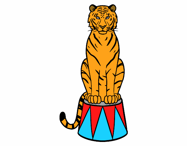 Tigre do circo