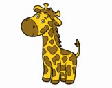 Uma girafa