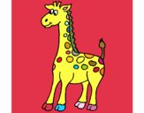 Girafa 4