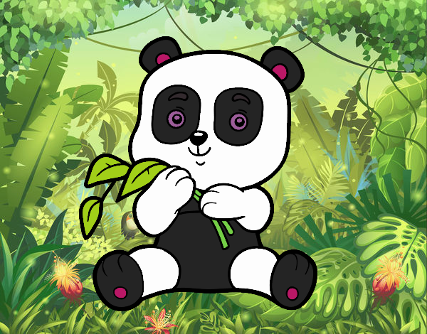 la panda da selva