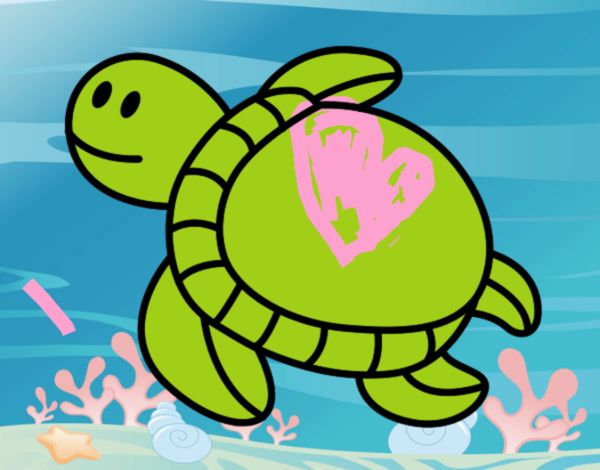 Tartaruga nadando