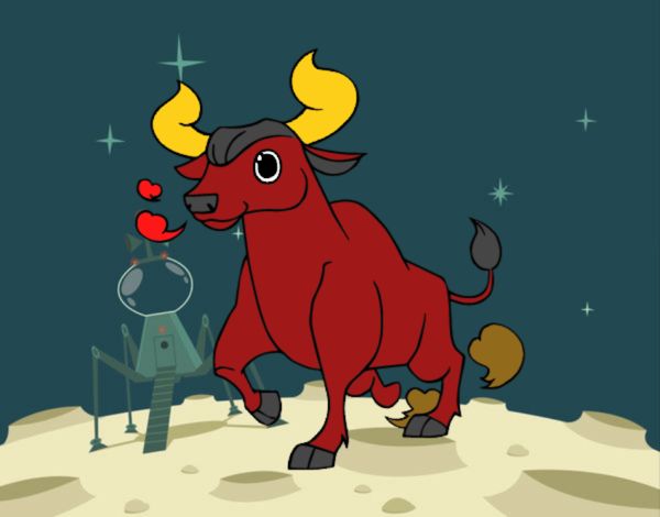 vermelho touro