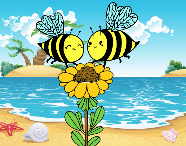 Algumas abelhas