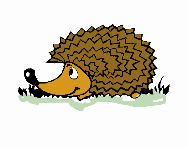 um hedgehog na grama