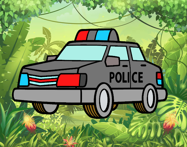 carro de policia moderno