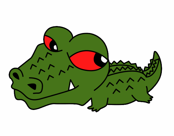 Crocodilo pequeno