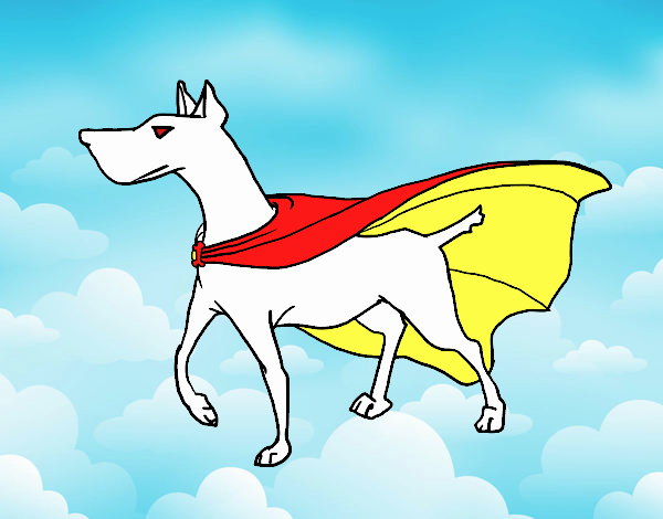 Cão super-herói
