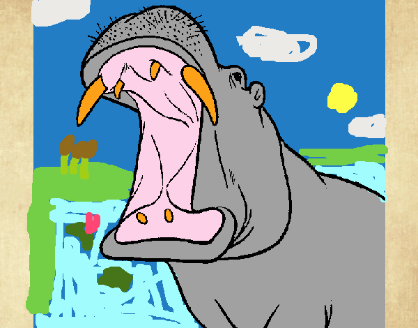 hipopotamos grongrops