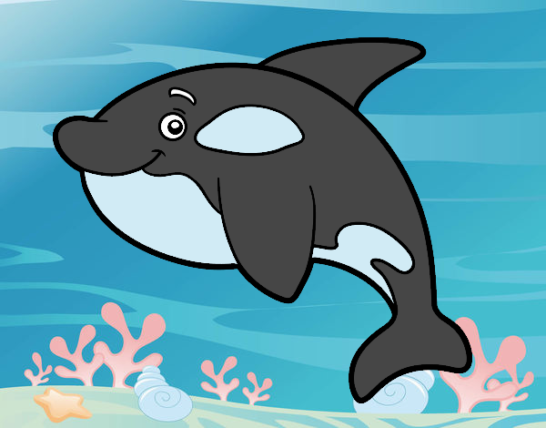 orca do artico