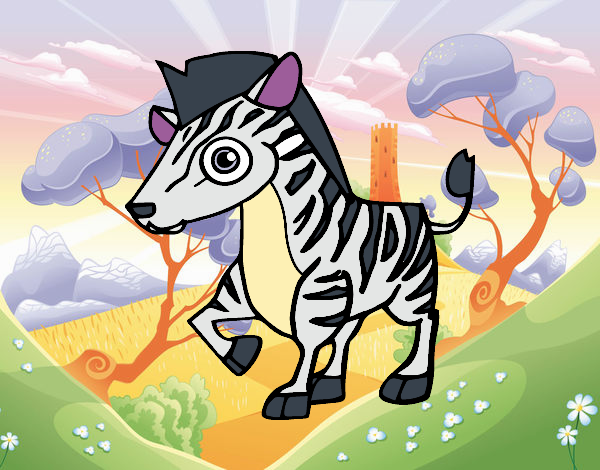 uma zebra comum