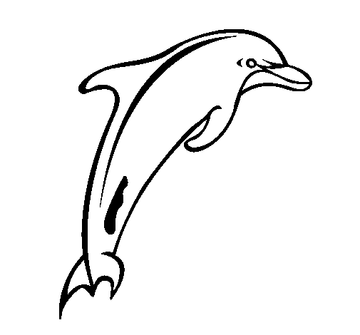 Desenho de Adulto golfinho para Colorir