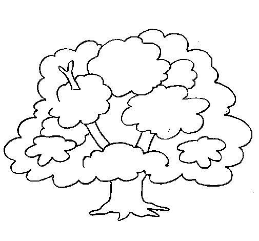 Desenho de Árvore para Colorir