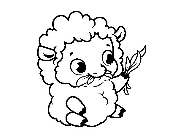 Desenho de Bebê ovelha para Colorir