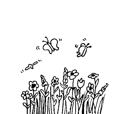 Desenho de Borboleta em flores para Colorir