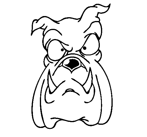 Desenho de Bull dog II para Colorir