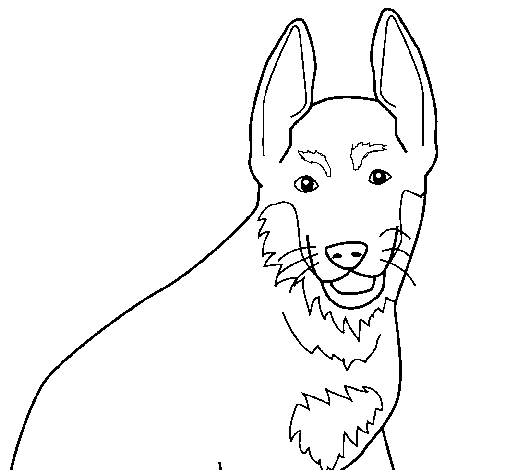 Desenho de Cão 4a para Colorir