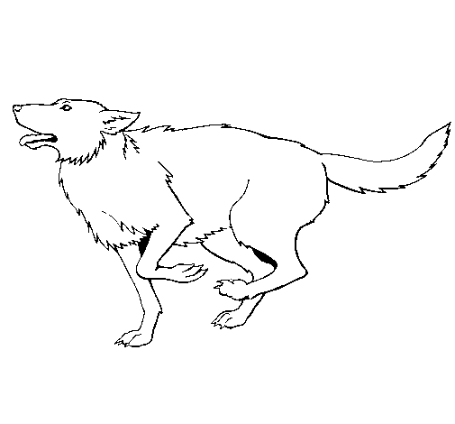 Desenho de Cão a correr para Colorir