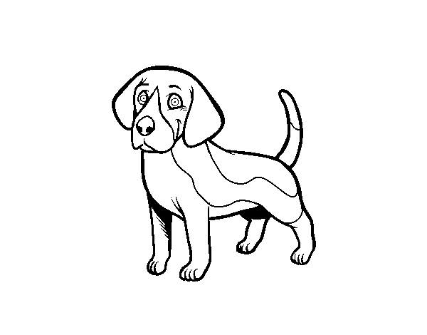 Desenho de Cão Beagle para Colorir