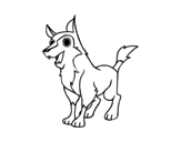 Desenho de Cão rafeiro para colorear
