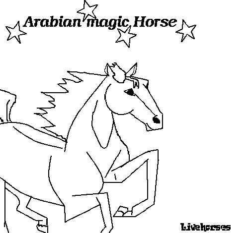 Desenho de Cavalo árabe para Colorir