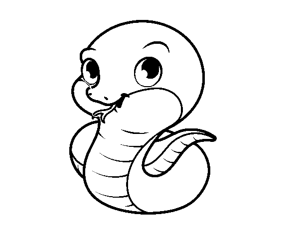 Desenho de Cobra bebê para Colorir