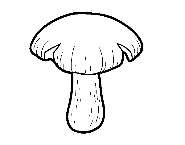 Desenho de Cogumelo entoloma sinuatum para Colorir