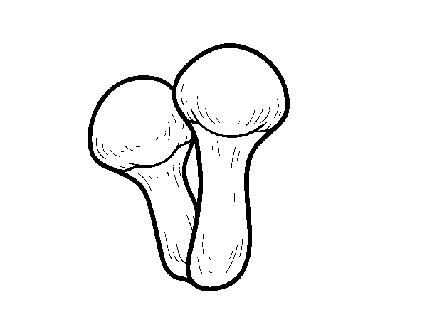 Desenho de Cogumelo matsutake para Colorir