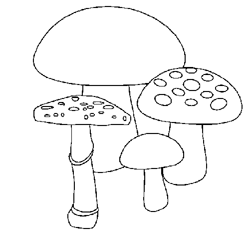 Desenho de Cogumelos para Colorir