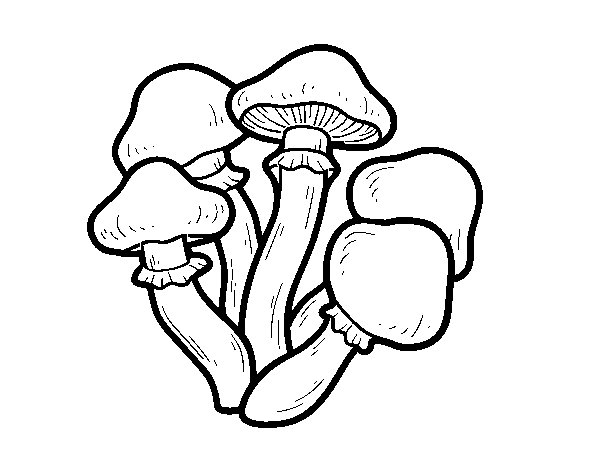 Desenho de Cogumelos venenosos para Colorir